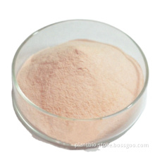 Pomegranate Powder Freeze Dried Pomegranate Juice Powder Organic Pomegranate Juice Powder